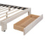 Queen Size Storage Bed Velvet Upholstered Platform Bed with a Big Drawer - Beige - Korvel