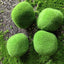 Mossy Stone Artificial Green Stone Arrangement
