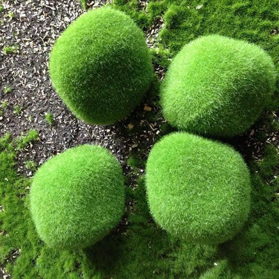 Mossy Stone Artificial Green Stone Arrangement