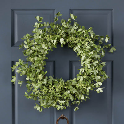 27" OXALIS CORNICULATA WREATH - Korvel