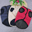 Premium Dog Winter Jacket for Ultimate Comfort