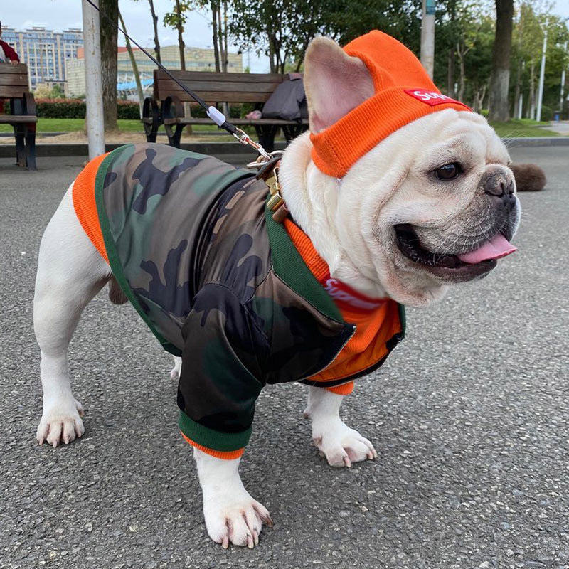 Trendy Pet Hoodie Set for Stylish Dogs