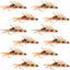 Premium Double Bead Peacock Stonefly Nymphs - 12 Pack Size 8 for Ultimate Fishing Success - Korvel