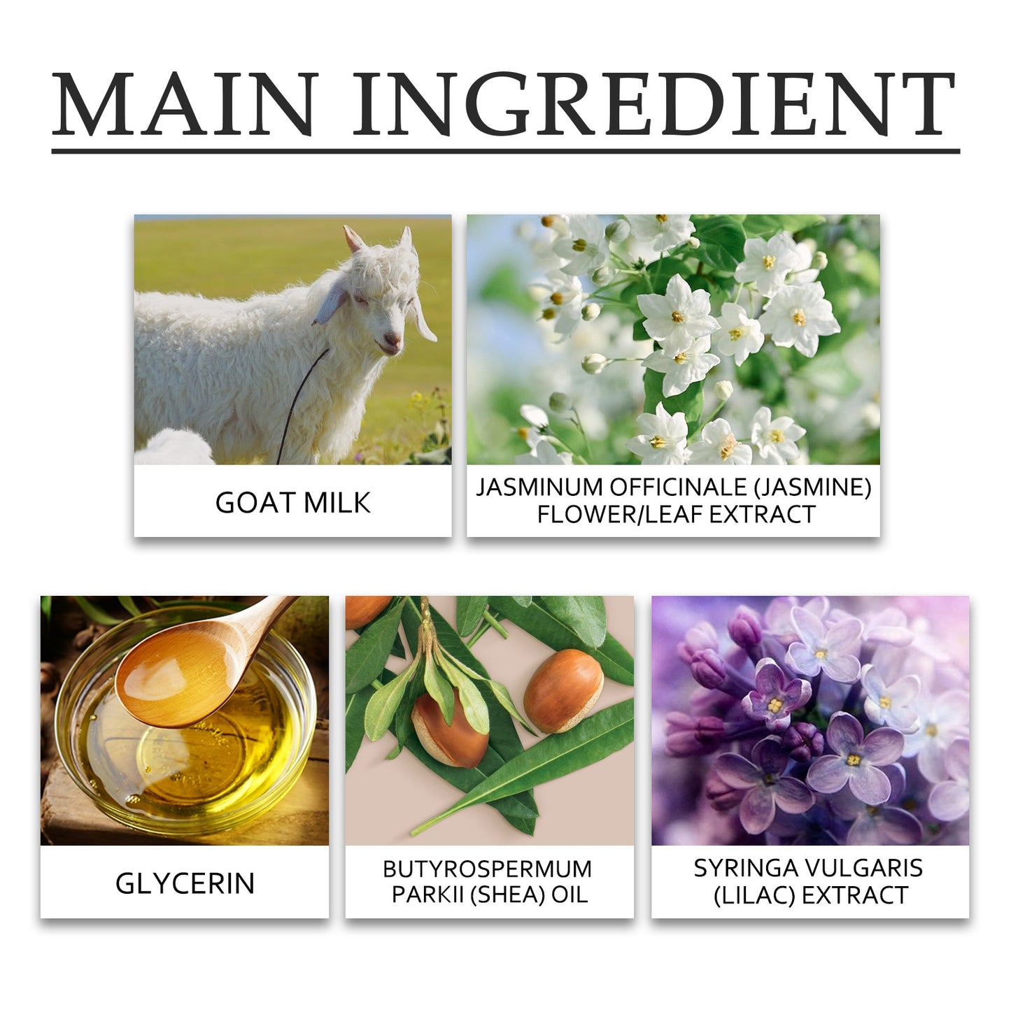 Oceaura Goat Milk Hand Cream - Moisturizing & Refreshing