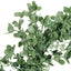 27" OXALIS CORNICULATA WREATH - Korvel