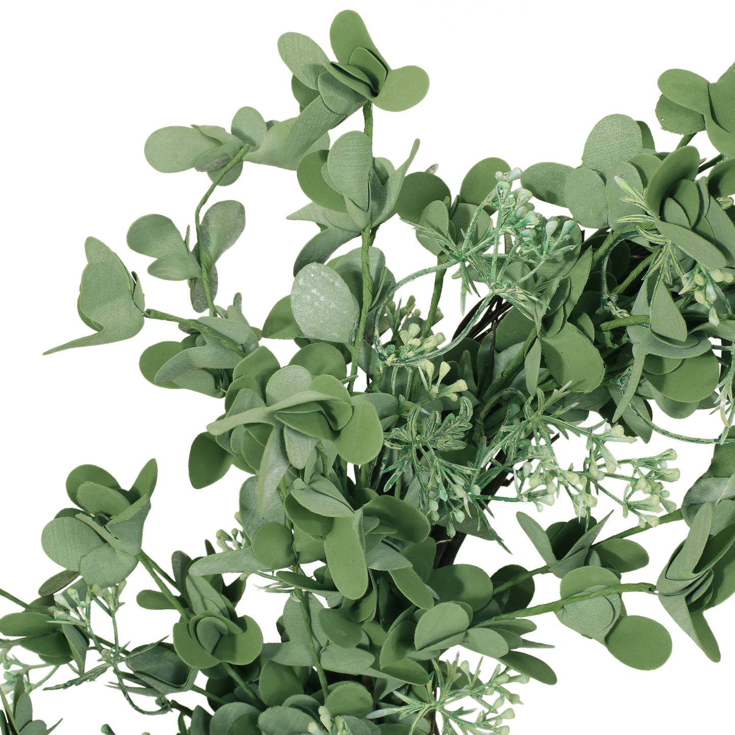27" OXALIS CORNICULATA WREATH - Korvel