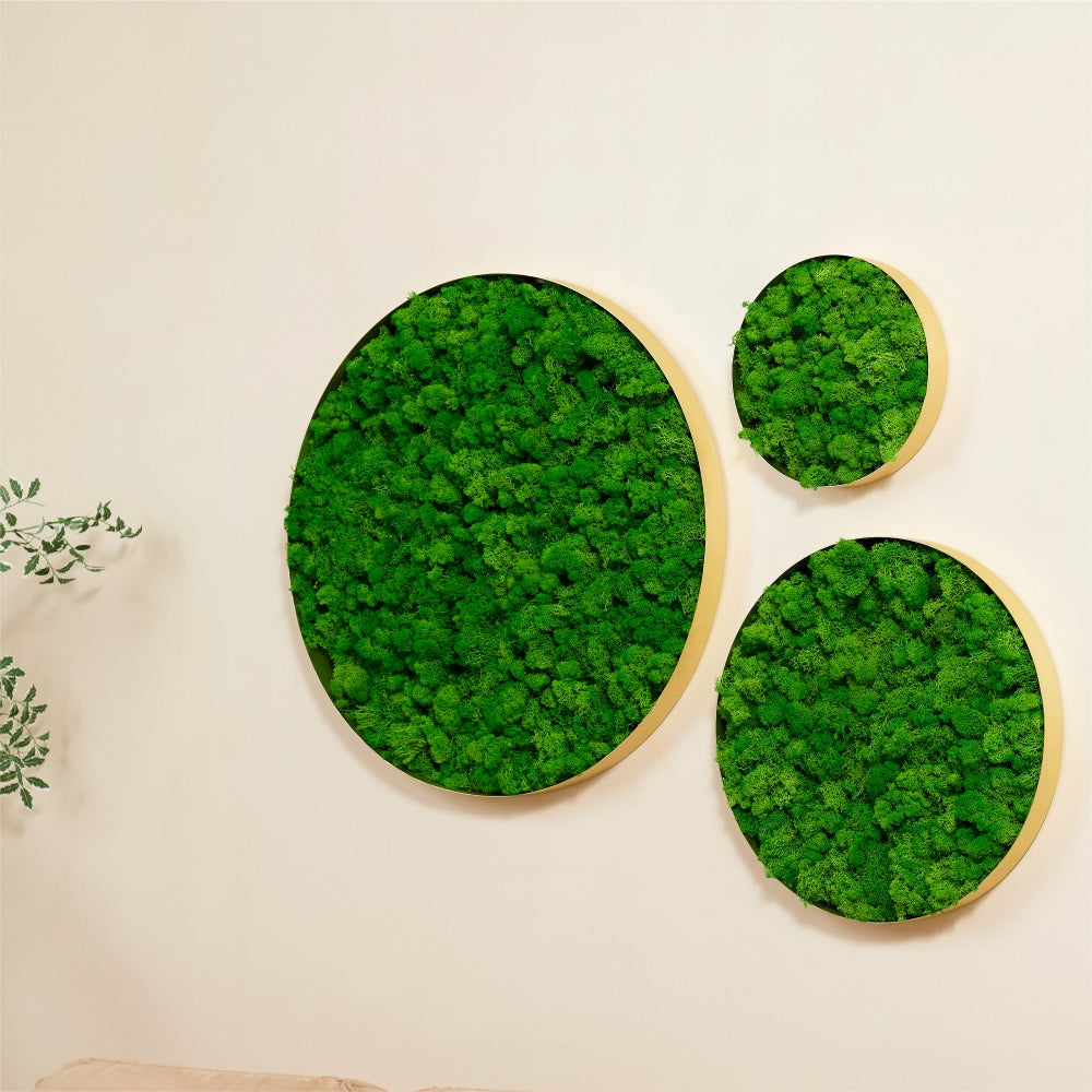 Round Framed Moss Wall Decor, only the Large - Korvel