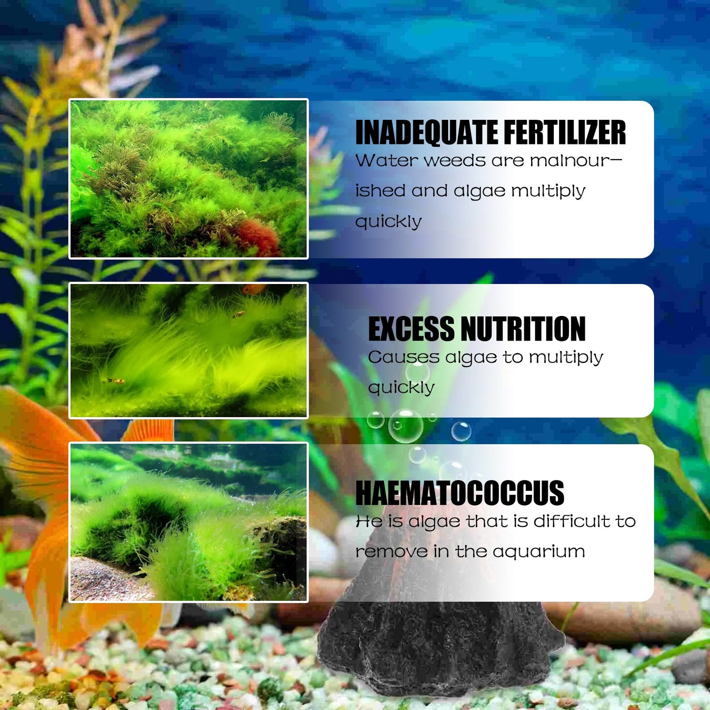 Dealgal Lichen Algae Control for Aquariums