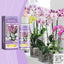 Premium Orchid Growth Nutrient Solution for Vibrant Blooms