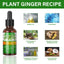 Rosemary Essential Oil for Gentle Scalp Care and Soft Shine