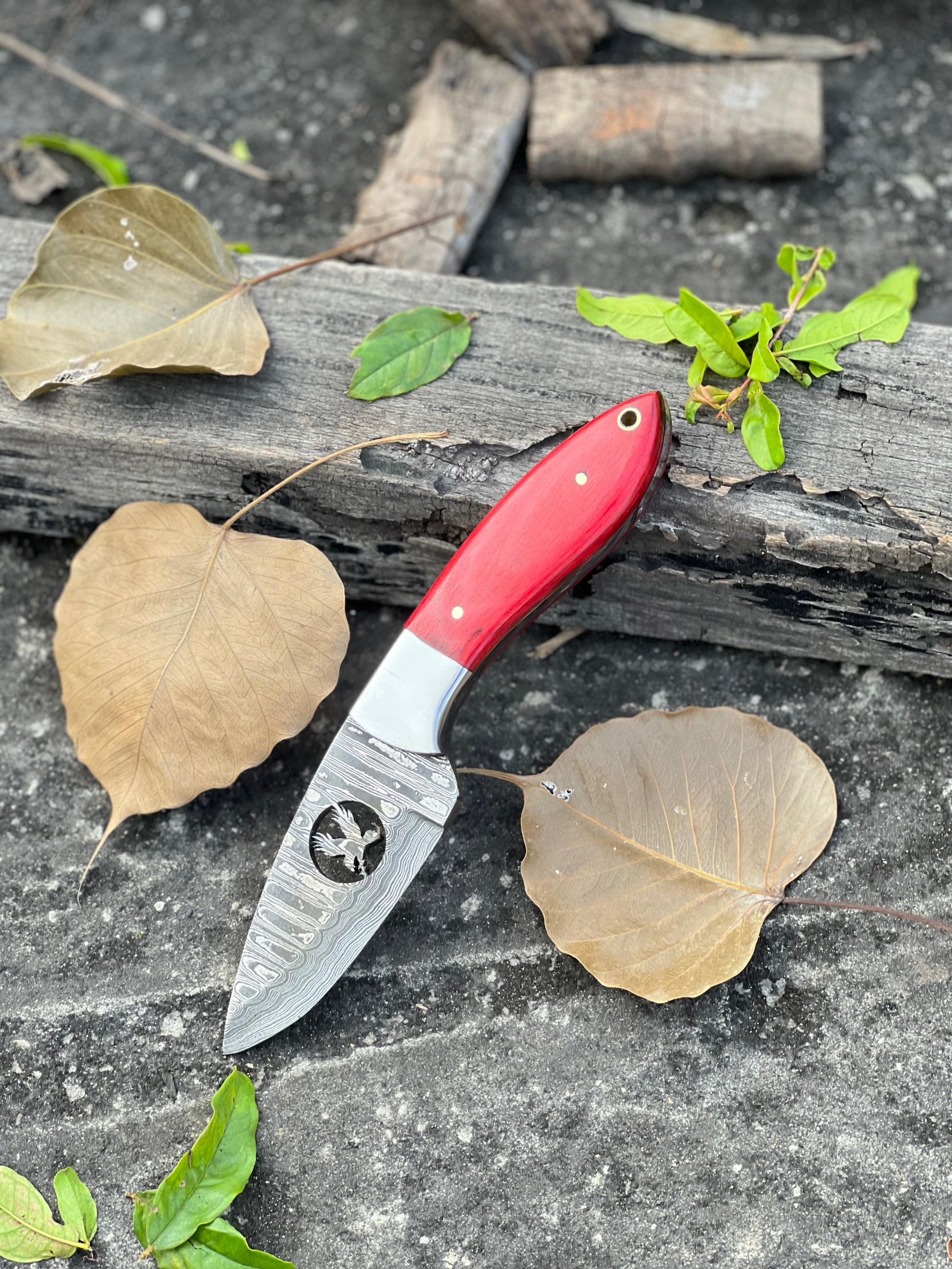 Custom Damascus Steel Fixed Blade Pocket Knife - Ideal for Hunting - Korvel