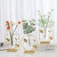 Nordic Light Luxury Vase for Elegant Home Decor