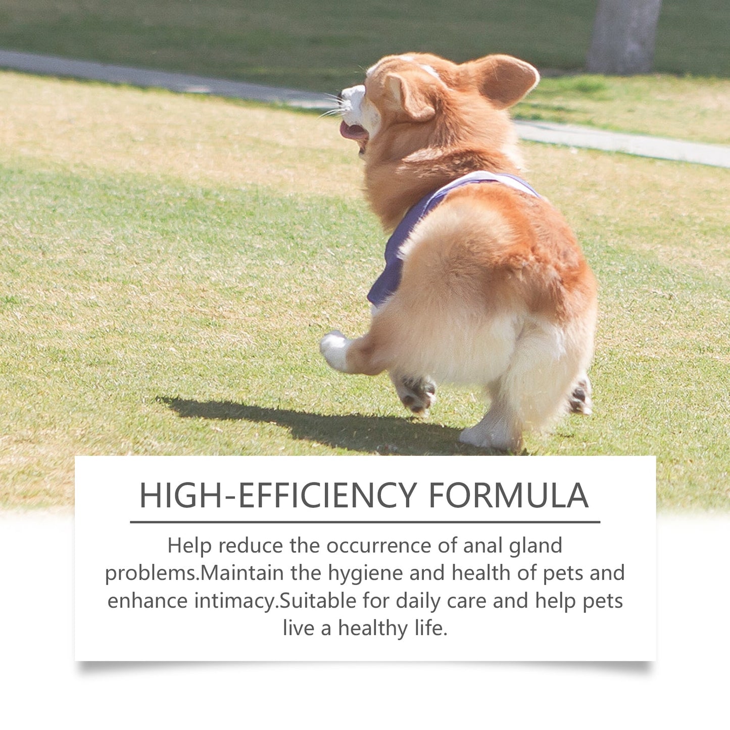 Premium Dog Anal Gland Odor Removal Spray