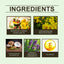 Chamomile Sleep Essential Oil - Hydrating Body Care Oil
