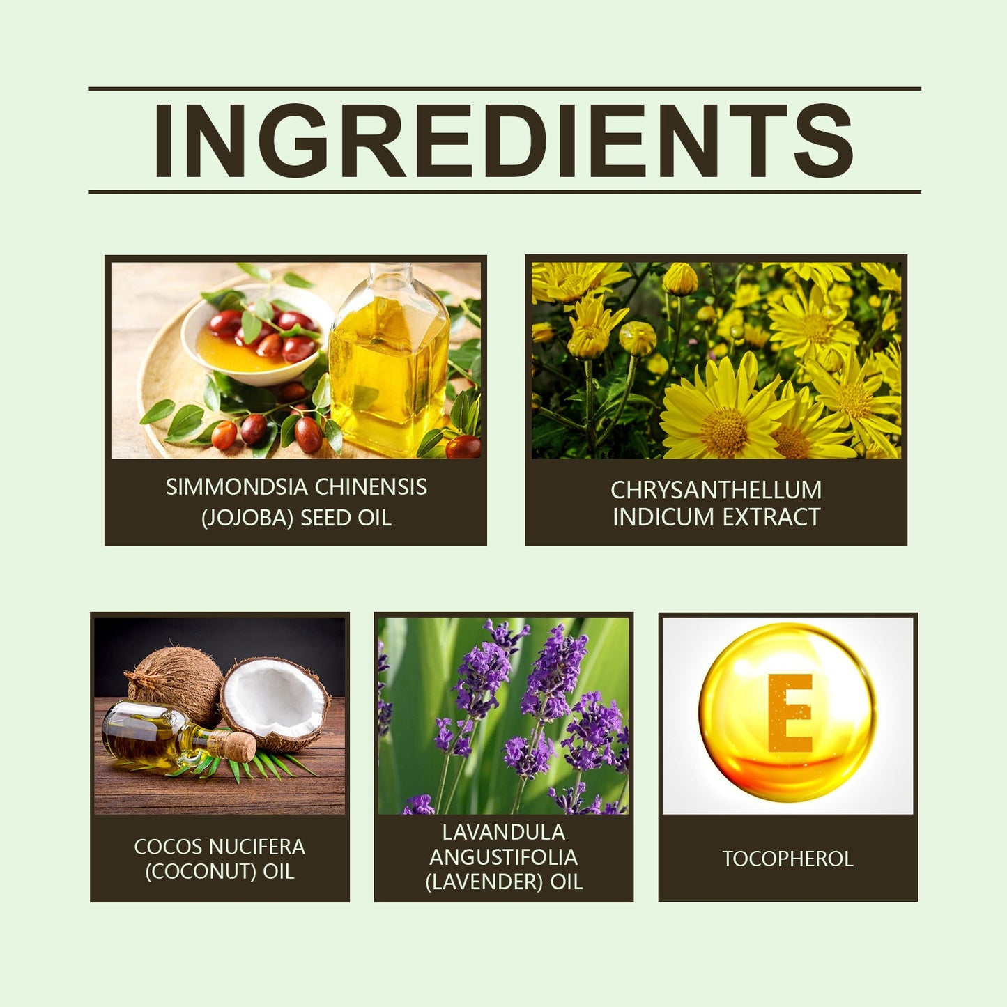 Chamomile Sleep Essential Oil - Hydrating Body Care Oil