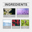 Eau De Toilette, Warm Wood Scent Charming Floral Fragrance Fresh Natural Fragrance Fragrance Lasting Fragrance - Korvel