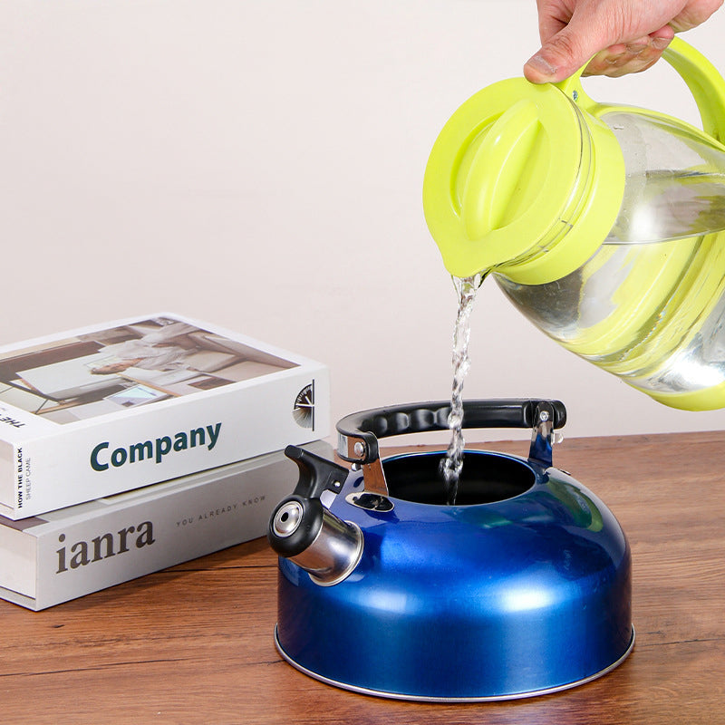 A 3L stainless - steel kettle for gas heating. It features a whistle and a comfortable handle, suitable for cooking and tea. - Korvel