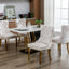 Tufted solid wood velvet soft cushion dining chair gold stainless steel plated leg nail head set of 2 pieces beige and gold - Korvel