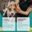 Premium Pet Ear Cleaning Wipes for Cats and Dogs