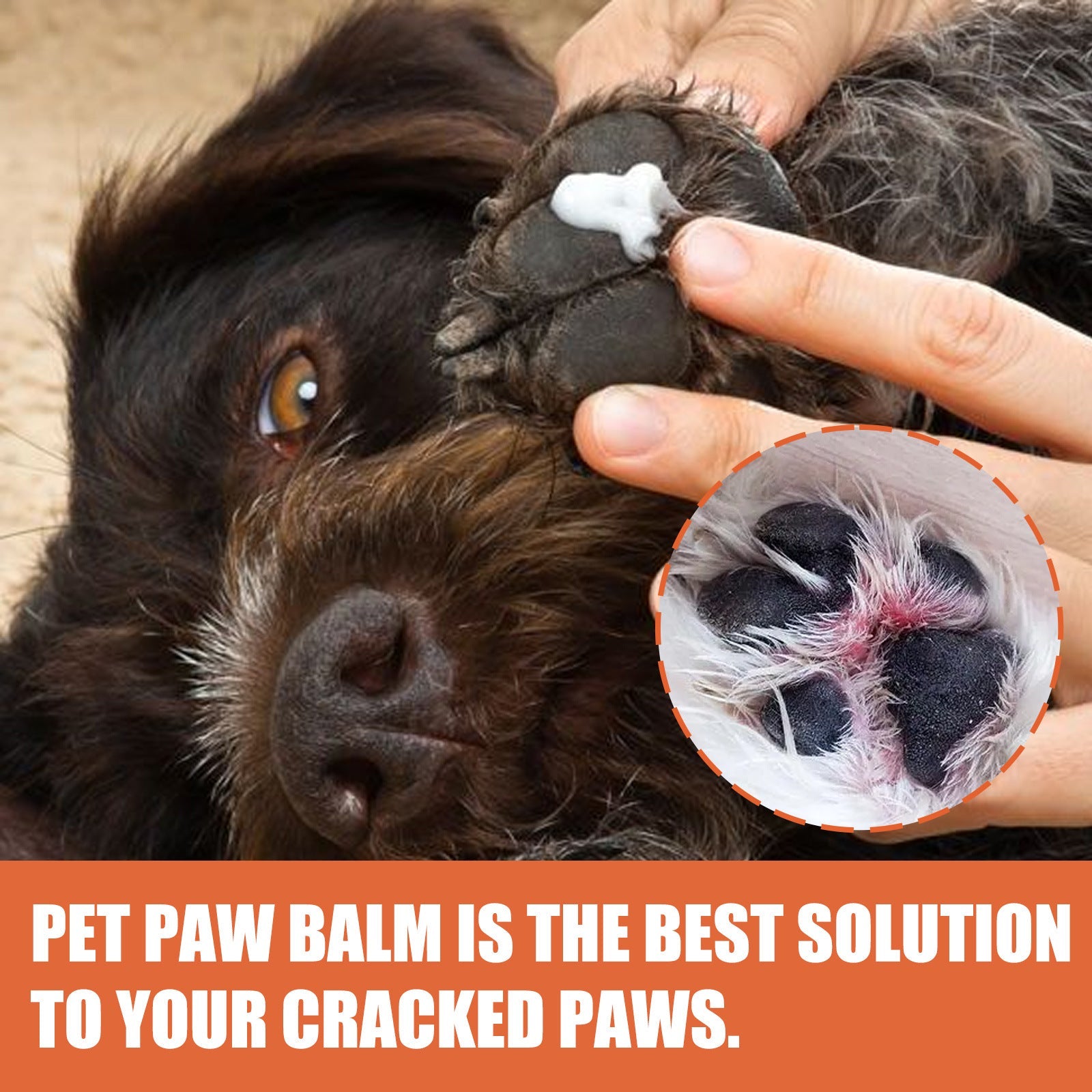 Pet Foot Care Cream For Animals, Cats, Dogs And Paws Foot Care Cream For Soles And Pads - Korvel