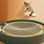 Multi Function Round Cat Scratching Board with Ball Toy Cat Scratcher Funny Sharpen Nails Scraper Can Replace Nest for Cats - Korvel