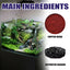 Dealgal Lichen Algae Control for Aquariums