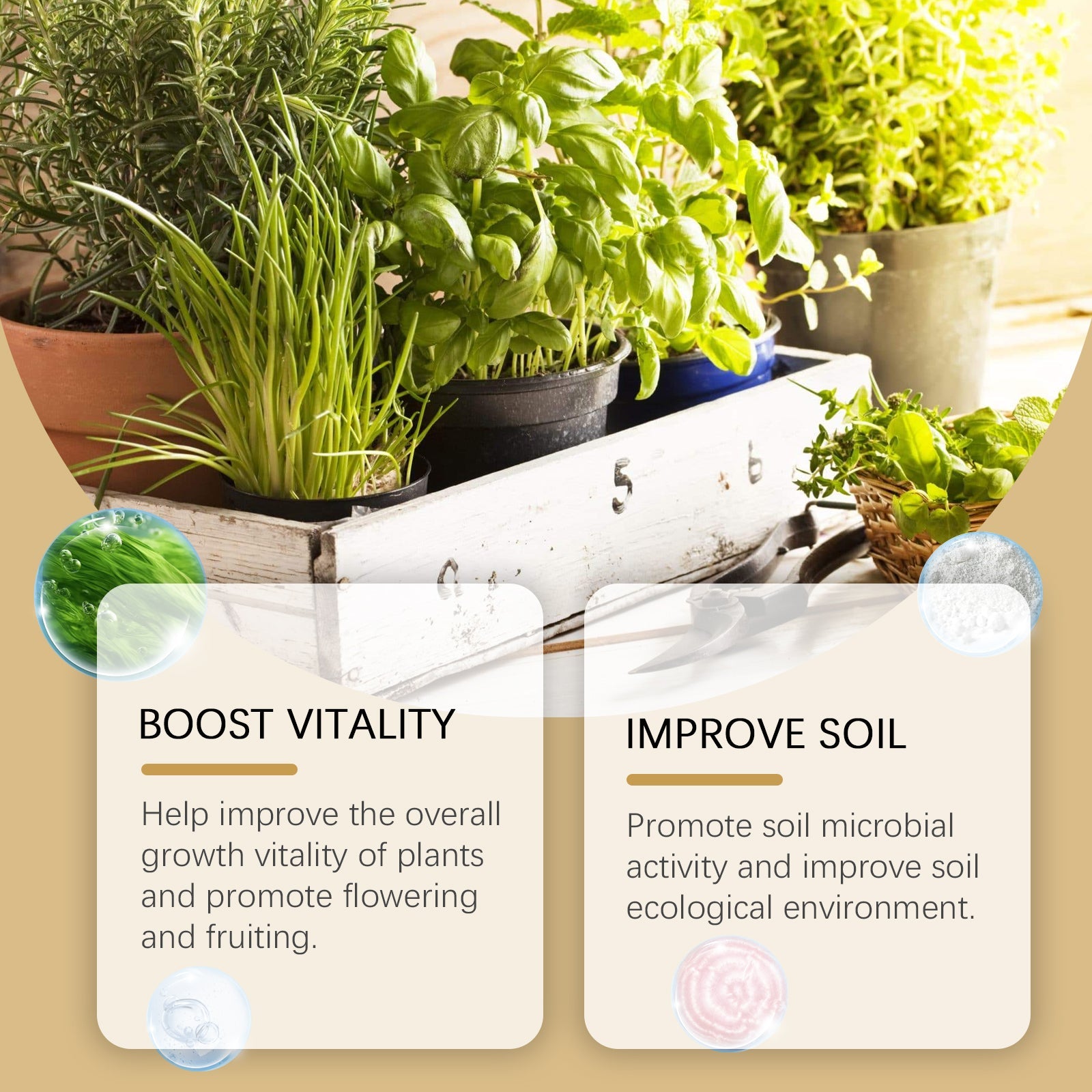 Moonspry Plant Root Powder, Garden Flower Plant Root Supplement Nutrition To Improve Soil Plant Nutrition Powder - Korvel