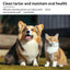 Mint Fresh Breath Spray for Dogs - Premium Oral Care