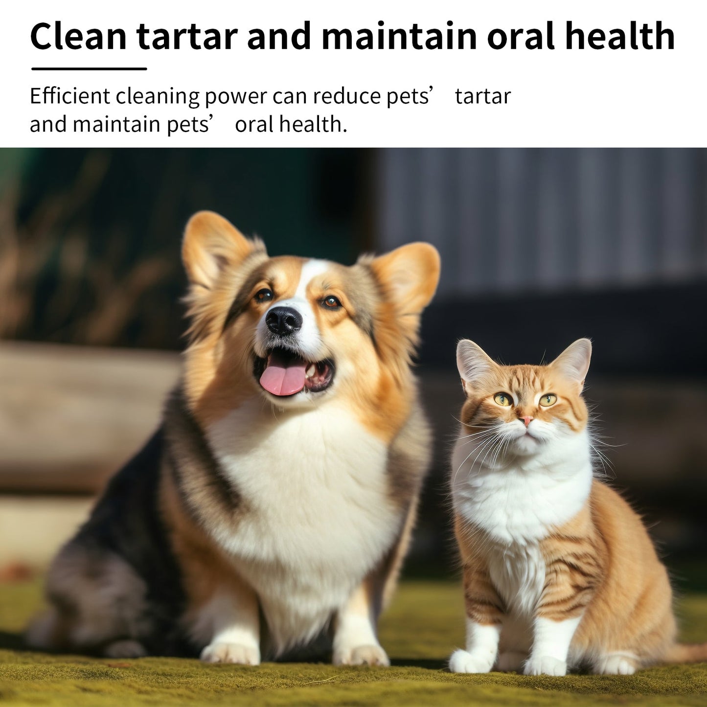 Mint Fresh Breath Spray for Dogs - Premium Oral Care