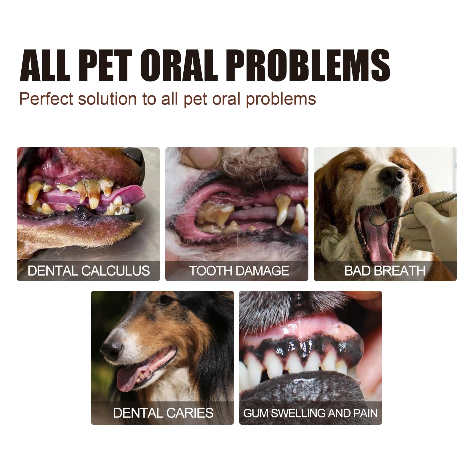 Pet Tooth Cleaning Spray, Cats And Dogs Removal Tartar Stains Bad Breath Oral Cleaning Spray - Korvel