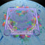 A3 (300 Fractal) - Serie de Discos de Firma Harper Thompson 2024
