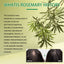 Rosemary Dense Hair Spray Hydrates Roots For Increased Elasticity Restoring Shine Anti-Set Hair Spray - Korvel