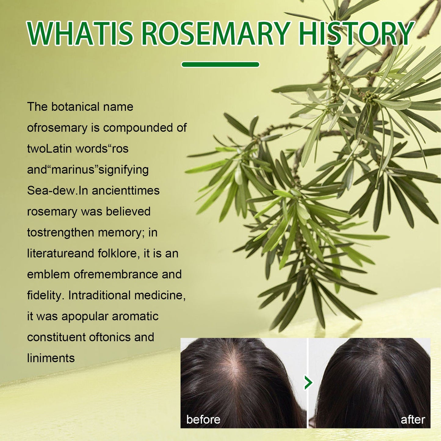 Rosemary Dense Hair Spray Hydrates Roots For Increased Elasticity Restoring Shine Anti-Set Hair Spray - Korvel