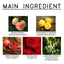 Pheromone Infused Eau de Parfum for Lasting Attraction