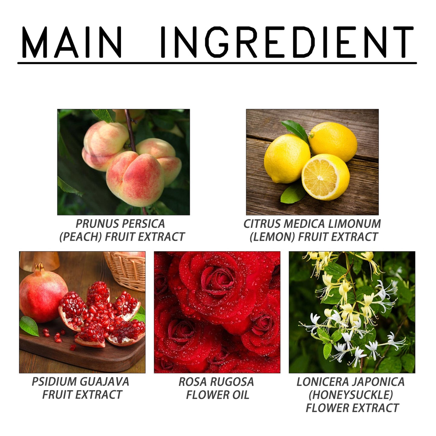 Pheromone Infused Eau de Parfum for Lasting Attraction