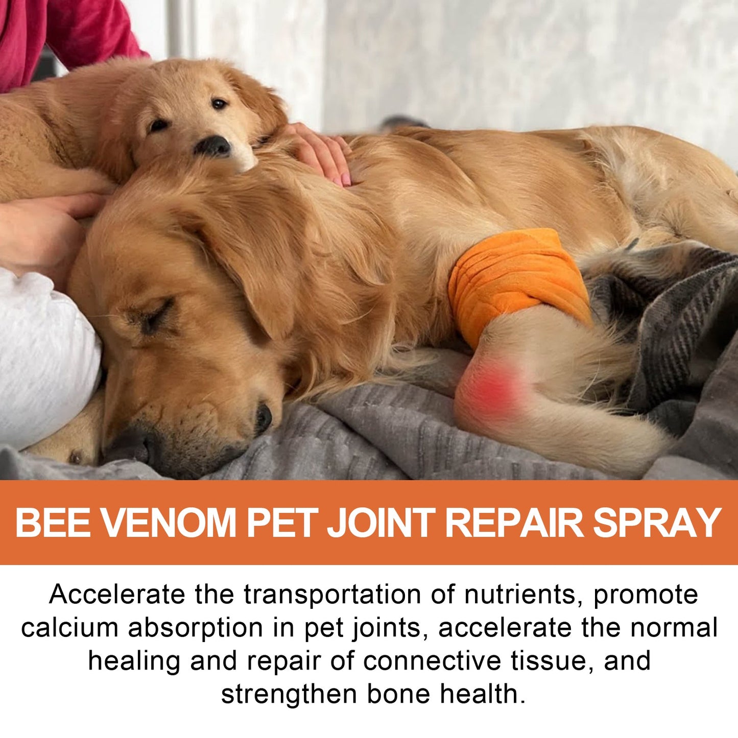 Pet Joint Repair Spray, Relieve Pet Joint Discomfort Muscle Weakness Pet Joint Care Spray - Korvel