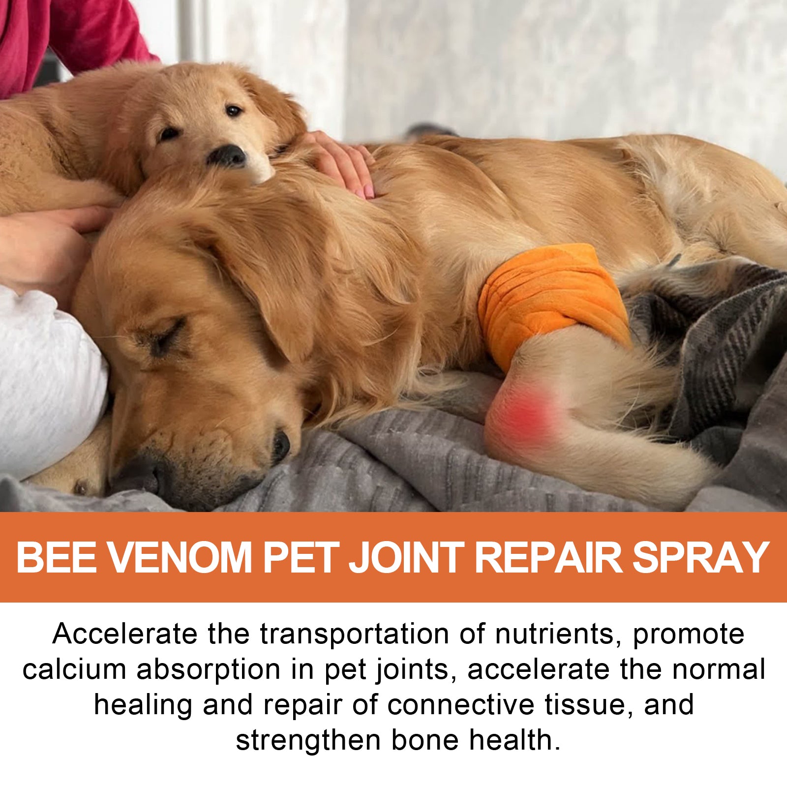 Pet Joint Repair Spray, Relieve Pet Joint Discomfort Muscle Weakness Pet Joint Care Spray - Korvel