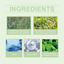 Rosemary Hair Treatment Spray for Nourished, Strong Hair
