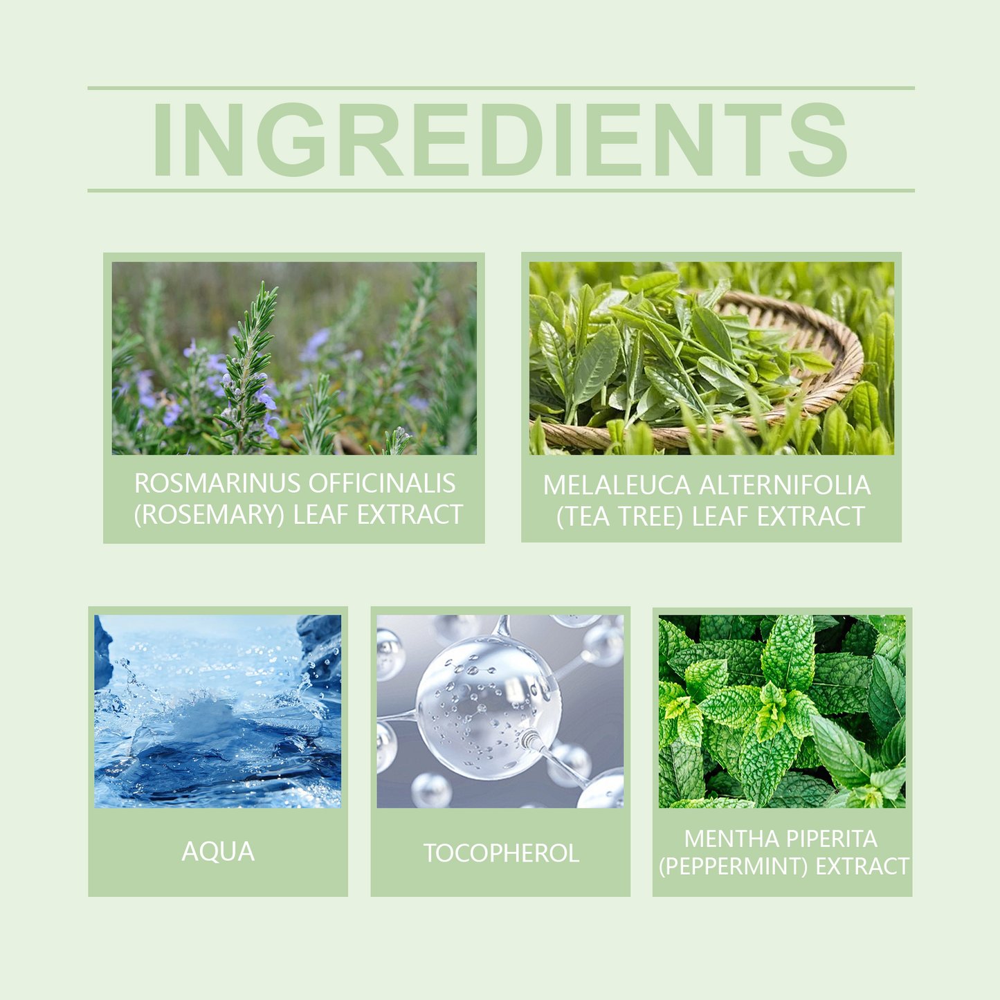 Rosemary Hair Treatment Spray for Nourished, Strong Hair