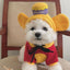 Winnie the Pooh Inspired Dog Sweater for Autumn & Winter