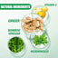 Mugwort Foot Patch with Ginger Essence for Foot Care