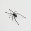 Plastic Spider as Decoration - Novelty Ornament - Korvel