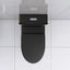 Matte Black Elongated One Piece Toilet Dual Flush 1.1/1.6 GPF Water Saving Map 1000g,Matte Black - Korvel