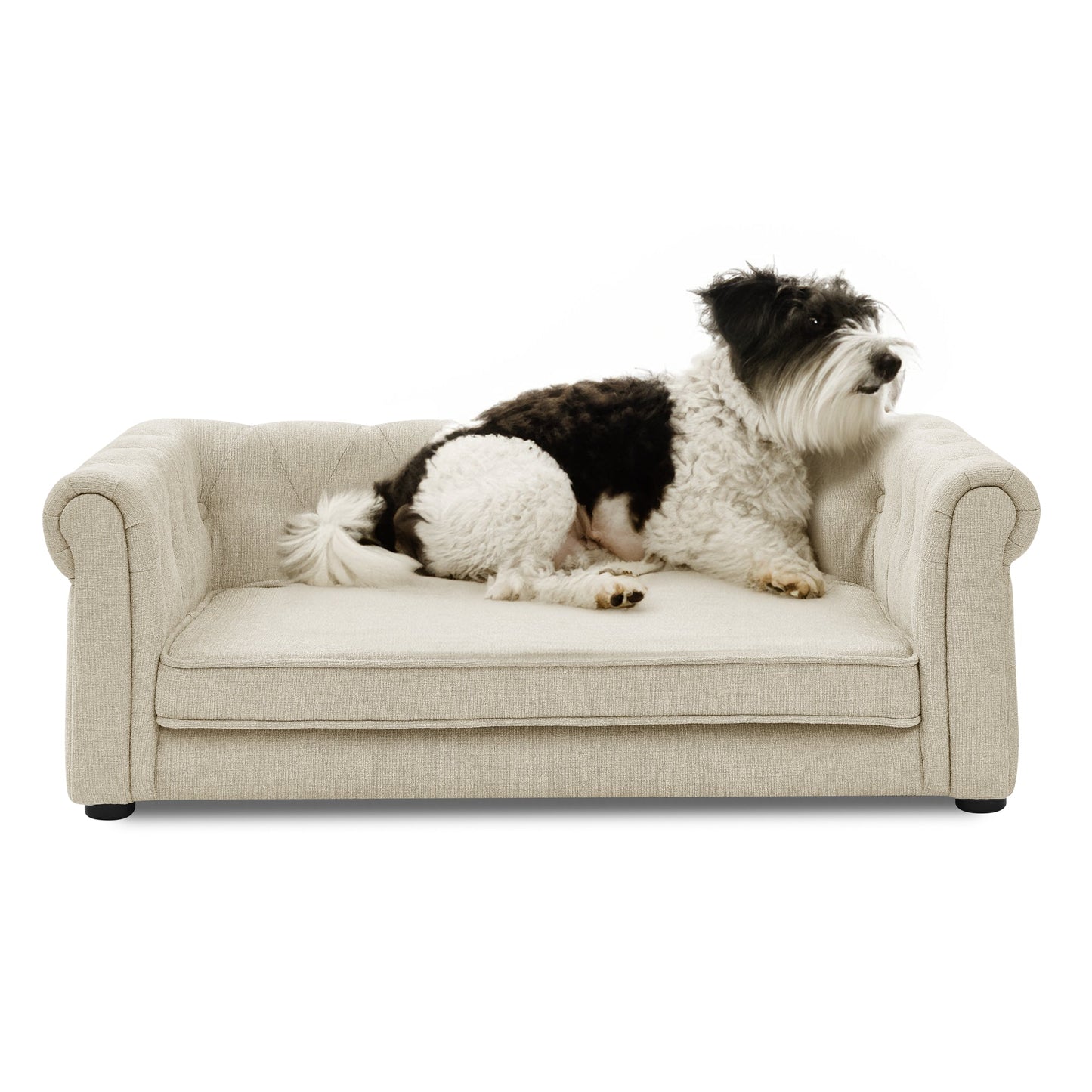 Elegant Rectangle Pet Bed for Medium and Large Dogs, Durable Elevated Dog Sofa Bed, Comfortable Dog Couch Beige - Korvel