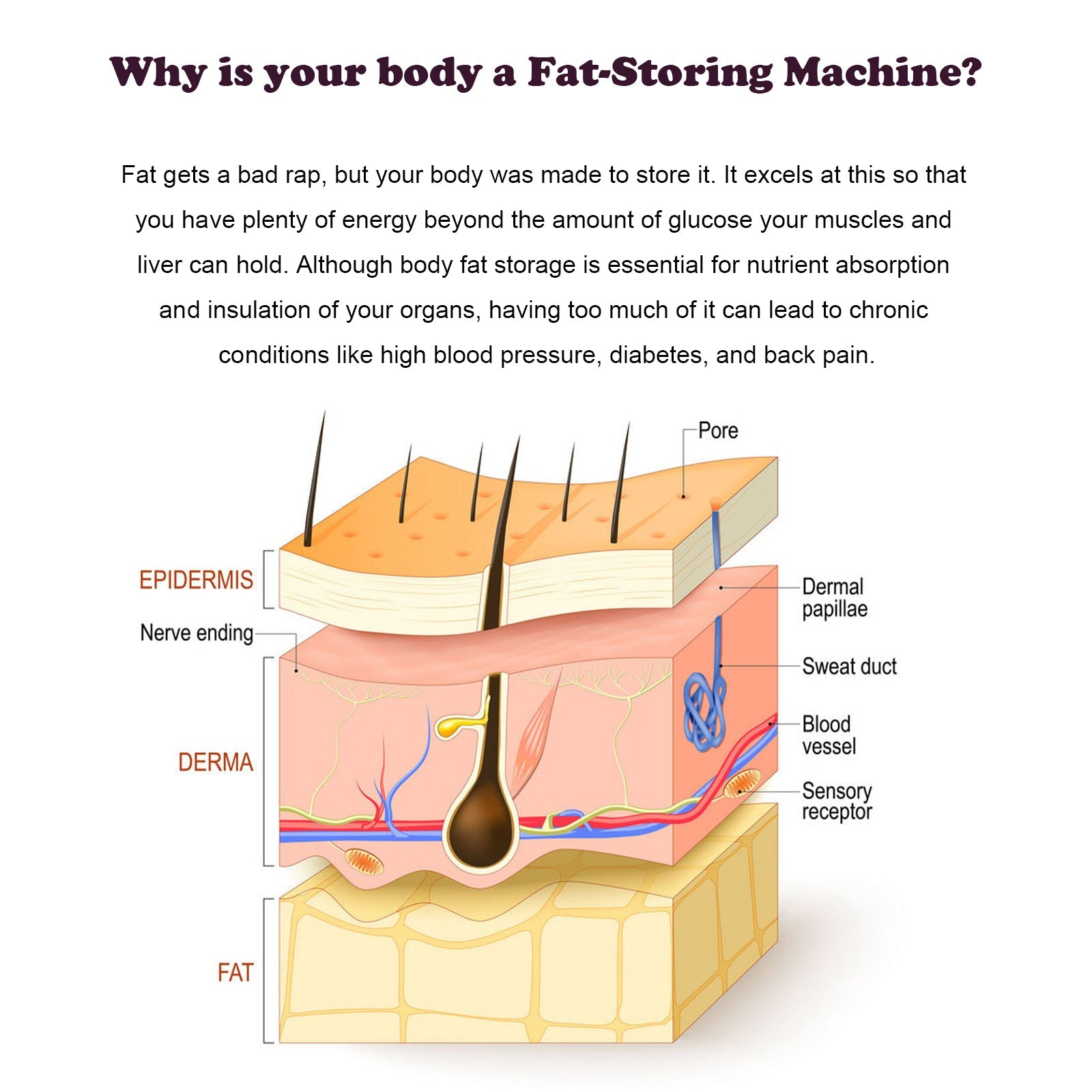Slimming Pearl, Body Shaping Pill To Tighten The Abdomen And Moisturize The Body Skin Lazy And Beautiful Skin - Korvel