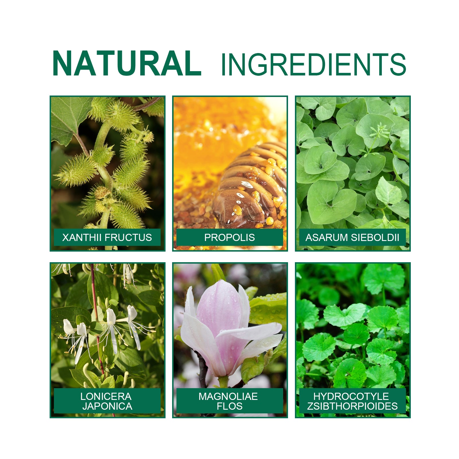 Organic Herbal Lung Cleanse Repair Patch, Relieve Nasal Discomfort Nasal Cleansing Repair Body Care - Korvel