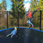 Trampoline de plein air premium avec filet de sécurité et échelle - 12 pi