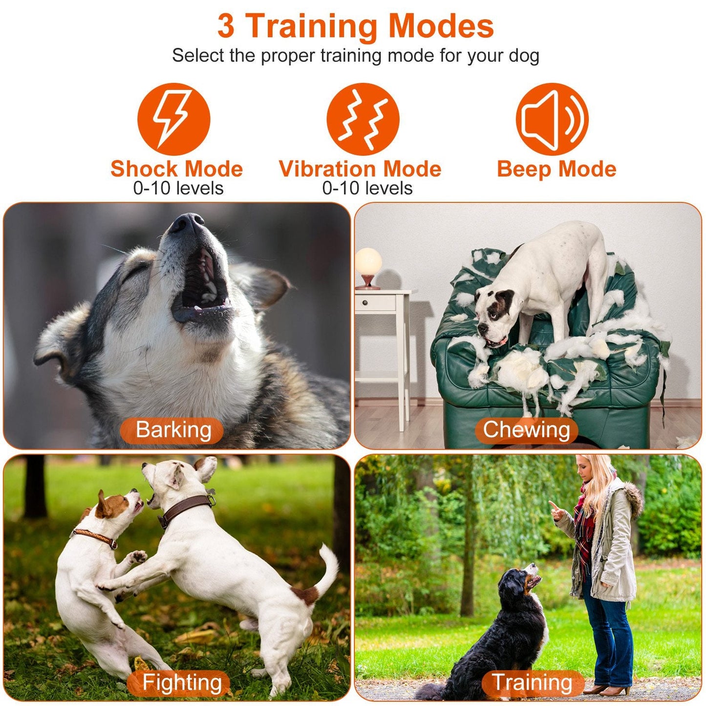 Collar de Entrenamiento para Perros Impermeable GBruno