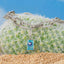 S925 Sterling Silver Openable Passport Pendant