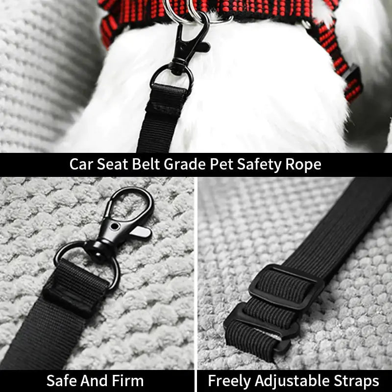 Siège de sécurité pour animaux de compagnie premium pour petits chiens et chats